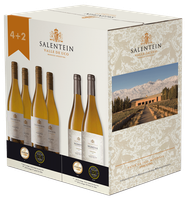 Salentein Barrel Selection Chardonnay Numina Chardonnay Mixed Case